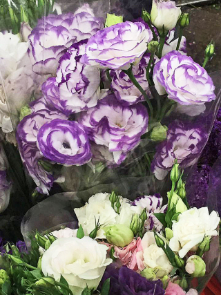 Flores Mercado de Jamaica 1 Flores Mercado de Jamaica 1