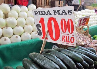 Jamaica Pida Mas Jamaica Pida Mas