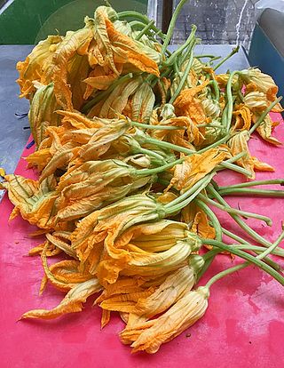 Flor de Calabaza Morelia