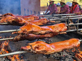 Puerco Cubano Oaxaca 2a Puerco Cubano Oaxaca 2a