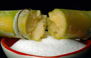 Can?a Cortada Sin Pelar Sciene Image 1