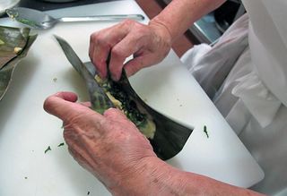 Tamales Técnica Titita Tamales Técnica Titita