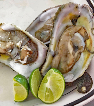 Viga Ostiones a Comer 1a