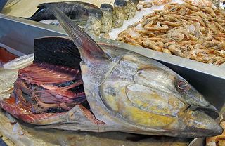 Mercado SJ Cabeza de Pescado copy Mercado SJ Cabeza de Pescado copy