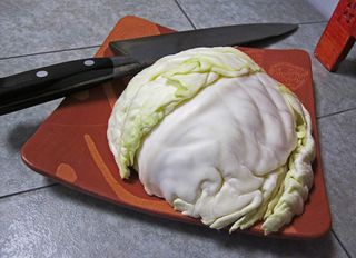 Head of Cabbage Head of Cabbage