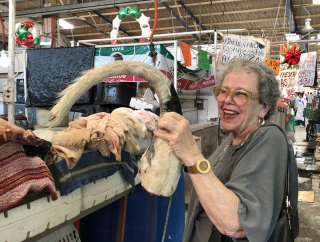 Cristina con Cola de Res 1 Cristina con Cola de Res 1