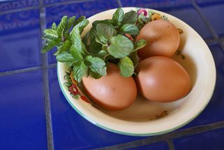 Hierbabuena con Huevos