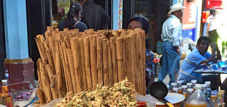 Canela Mexicana 1 Canela Mexicana 1