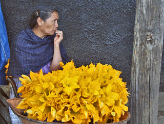 Flor de Calabaza Mercado Paracho Michoaca?n Flor de Calabaza Mercado Paracho Michoaca?n