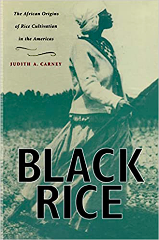 Judith Carney Black Rice 1 Judith Carney Black Rice 1