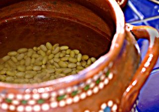 Frijol y Agua Frijol y Agua