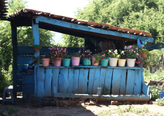 Outdoor Kitchen Michoaca?n