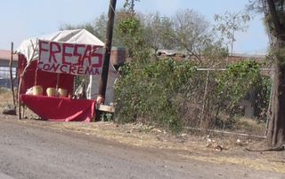 Fresas con Crema Fresas con Crema