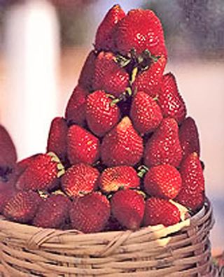 Strawberries in Basket Strawberries in Basket