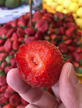 Fresa Mercado de Jamaica March 2016 1 Fresa Mercado de Jamaica March 2016 1