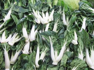 Baby Bok Choy Mercado San Juan Baby Bok Choy Mercado San Juan