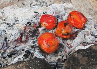 Jitomate en las Cenizas Jitomate en las Cenizas