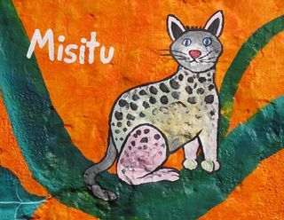 Mitsu Gato Mitsu Gato