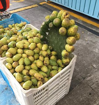 Mercado de Jamaica Nopales Mercado de Jamaica Nopales