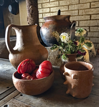 Thali?a Barrios Estufa Thali?a Barrios Estufa