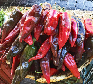 Flaneur Chiles Poblanos Rojos Tehuaca?n 2016 Flaneur Chiles Poblanos Rojos Tehuaca?n 2016