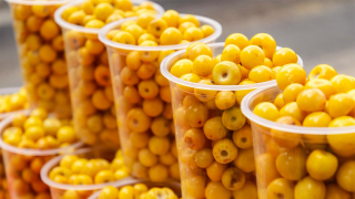 Pa?tzcuaro Nanches Pa?tzcuaro Nanches