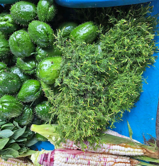 Pa?tzcuaro Ani?s Silvestre Chayote Elote 2a Pa?tzcuaro Ani?s Silvestre Chayote Elote 2a