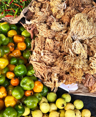 Pa?tzcuaro Chile Peron Patita de Pa?jaro Etc 1 Pa?tzcuaro Chile Peron Patita de Pa?jaro Etc 1